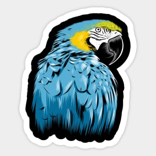 Blue macaw Sticker